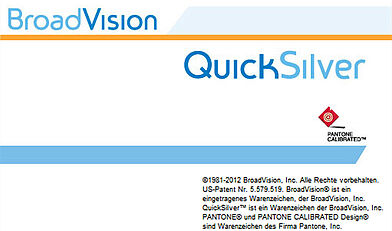 Vorteile der BroadVision QuickSilver® Version 3.8
